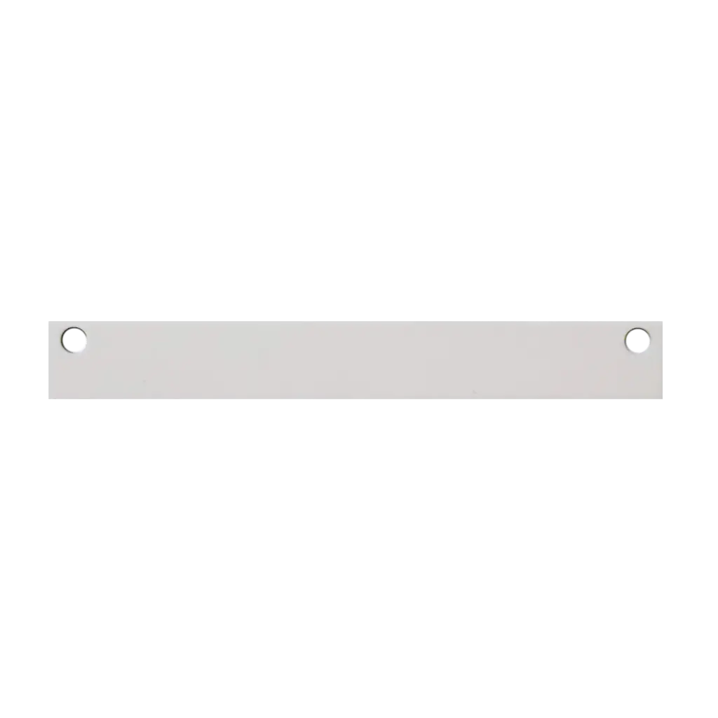 100 Blindplate RAL 7035 (2HP)